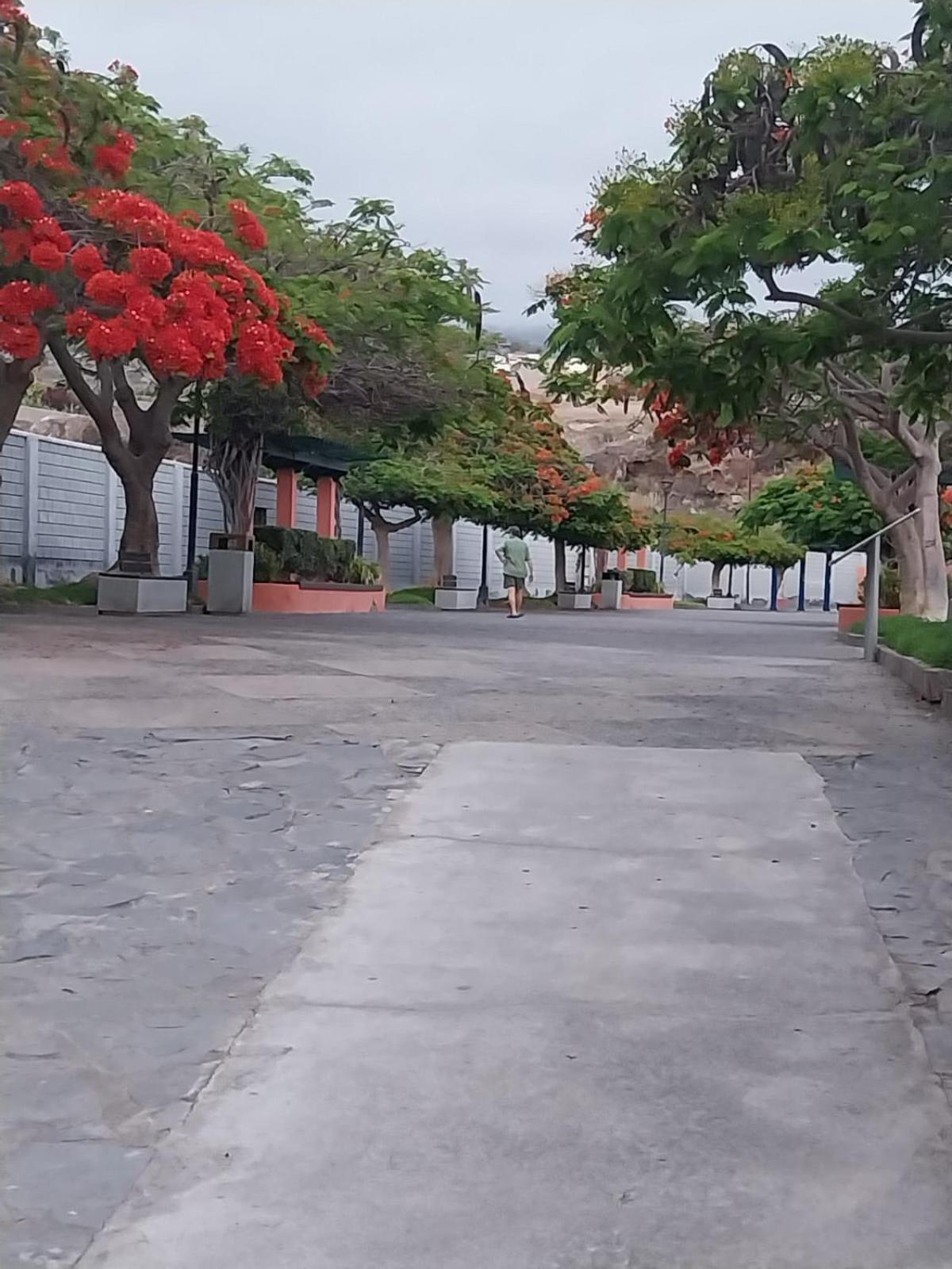 Mi Casita Tenerife Sur Free Wifi E Ac อาโรนา ภายนอก รูปภาพ